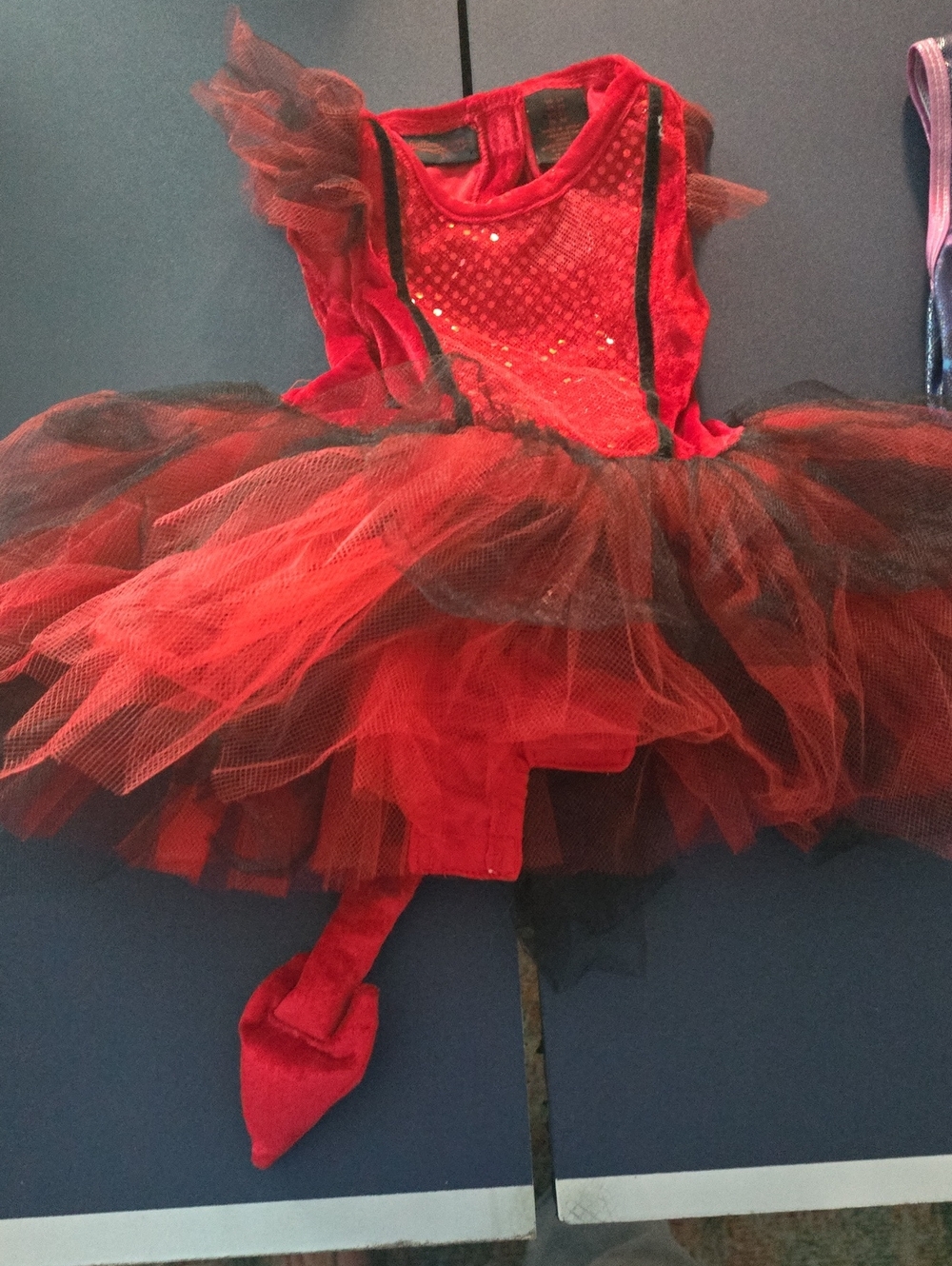 Red Tulle Ballet Tutu Dress for Kids - Sparkle Costume